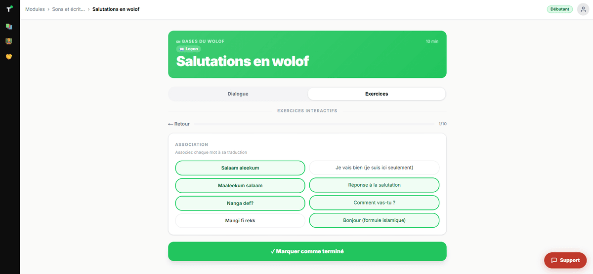 Plateforme Targumi - exercices interactifs